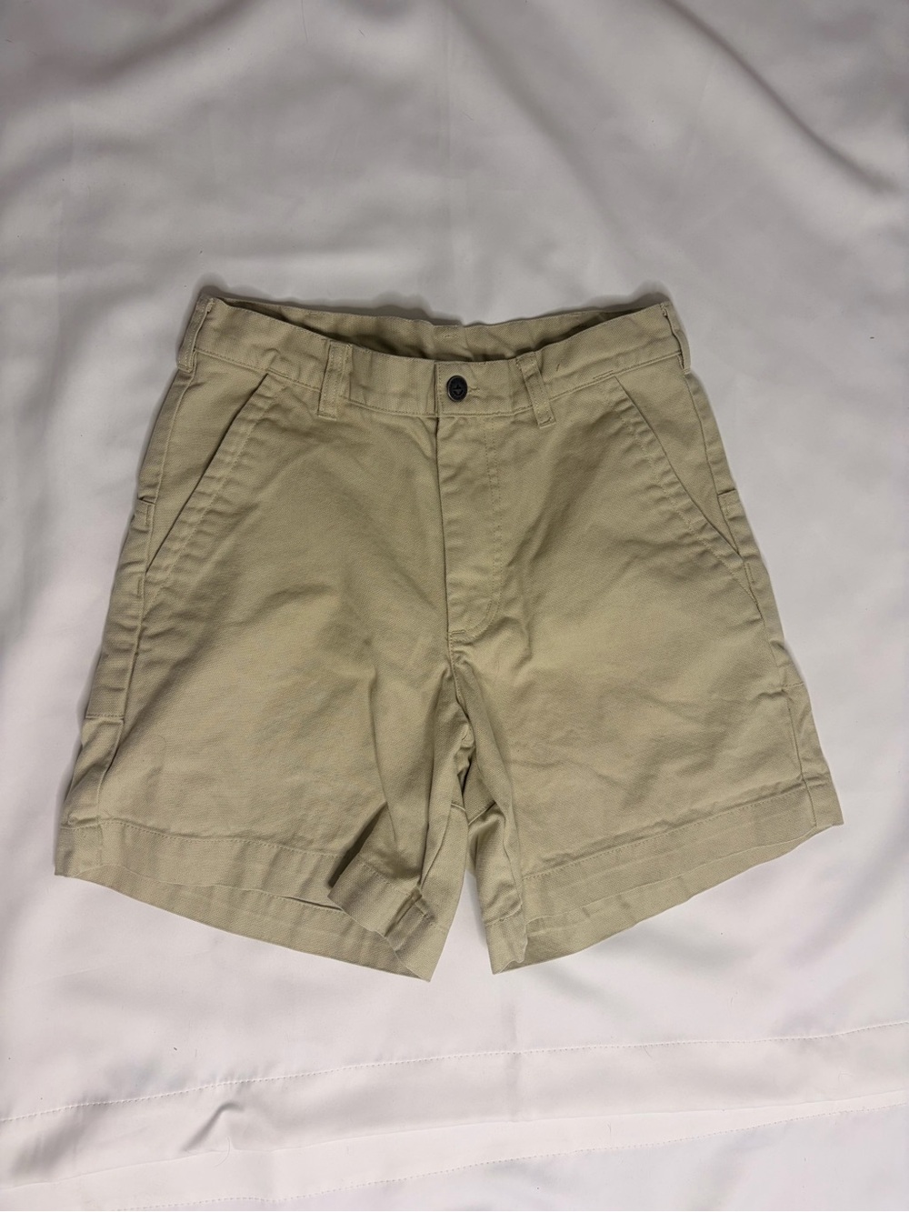 Patagonia Organic Cotton Canvas Stand Up Shorts Men 30 Tan Khaki Outdoor Hiking